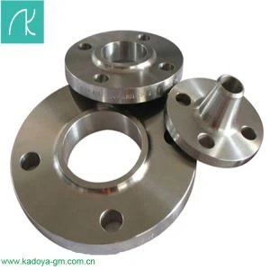 Brida de soldadura por enchufe de acero inoxidable SS304 JIS 10k 16k con cara elevada